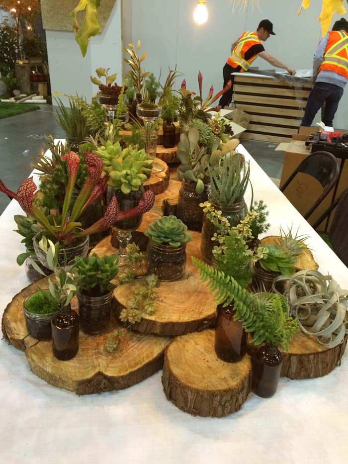 Planter Design Ideas