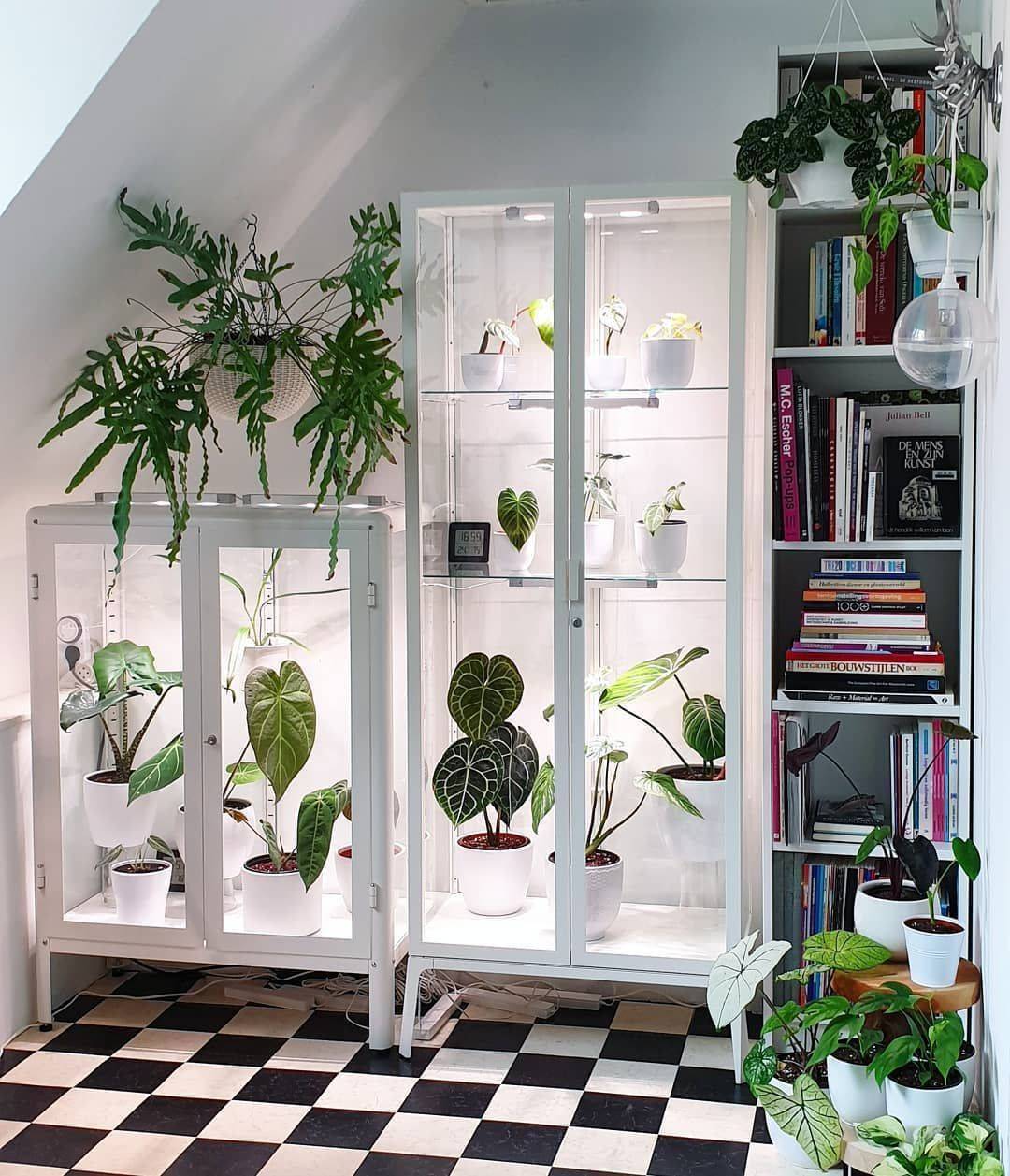 Indoor Smart Garden Ideas