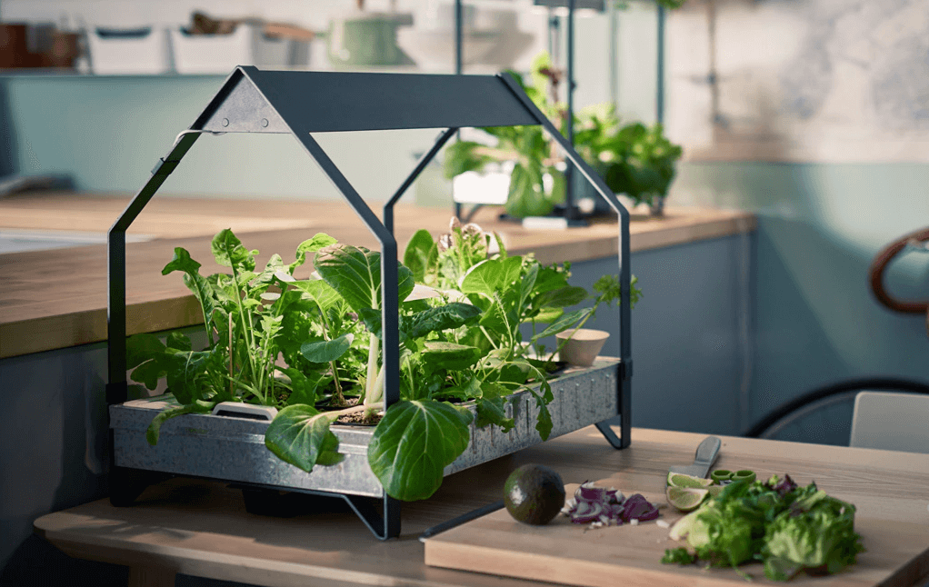 Indoor Gardening Hydroponic Kit