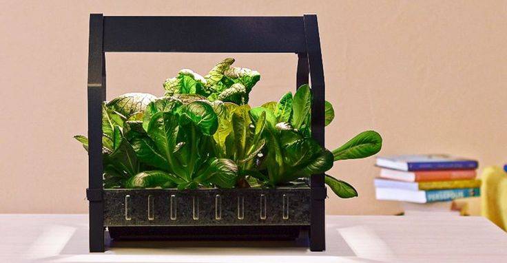 Ikea Indoor Garden