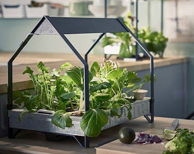 Hydroponic Gardening
