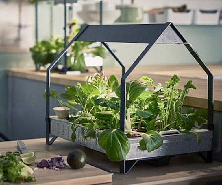 A Hydroponic Indoor Gardening Kit