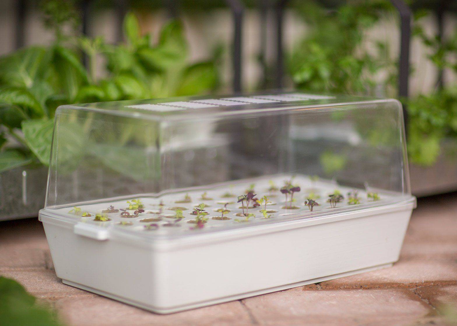 A Hydroponic Indoor Gardening Kit Hydroponics