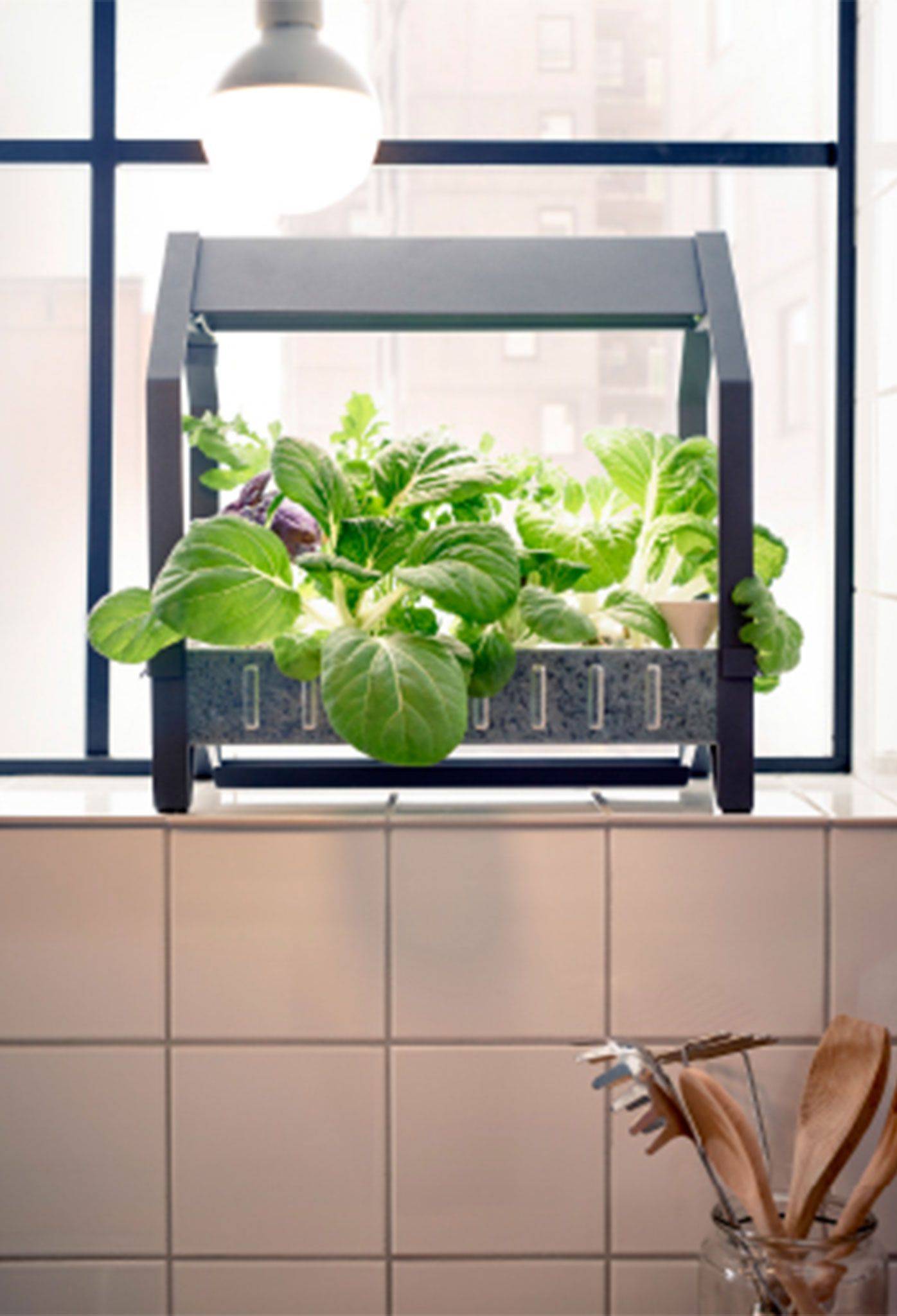 A Hydroponic Indoor Gardening Kit