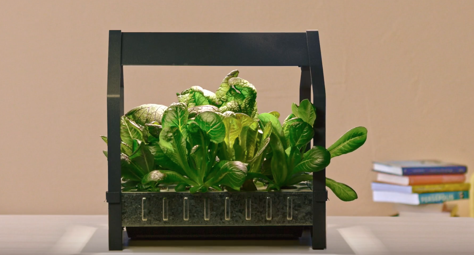 Ikeas Hydroponic System