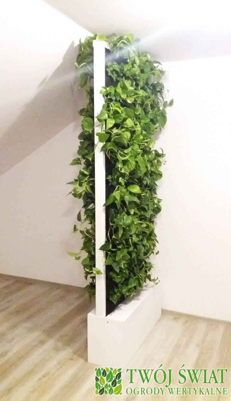 Indooroutdoorbox Ball Shape