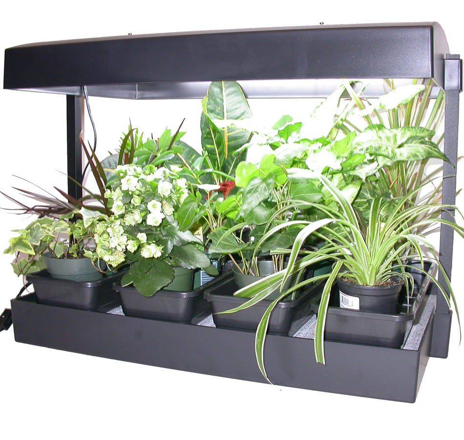 Hydroponic Gardening Kits Natural Indoor Hydroponic Gardening Systems