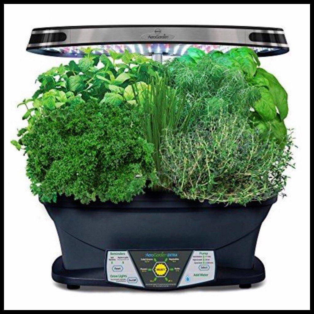 Salad Box Hydroponic Salad Garden Kit