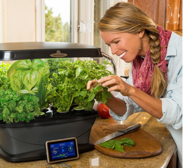 Microgreen Production