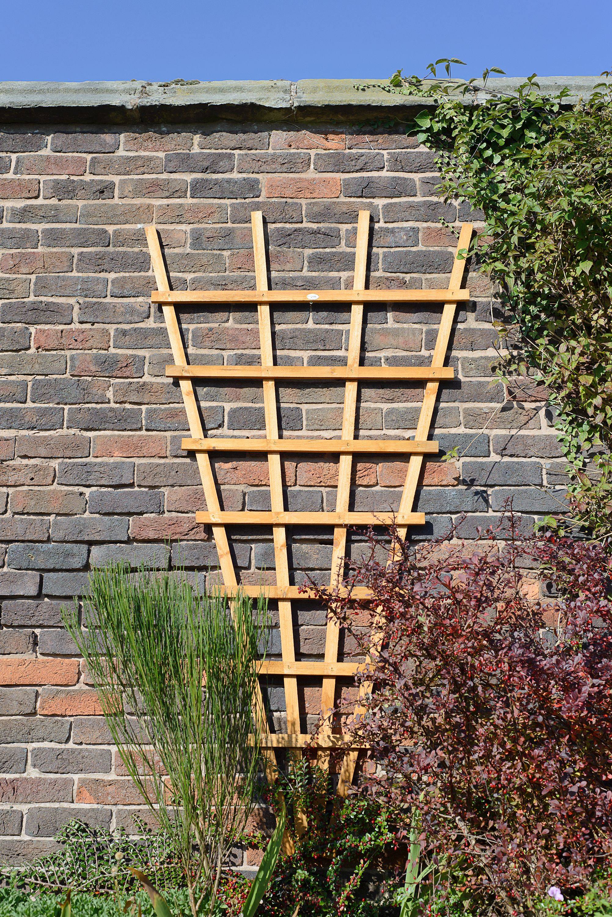 Ventura Heavy Duty Arbor