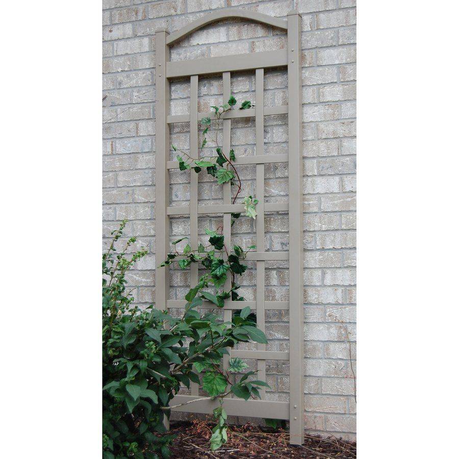Exceptional Diy Trellis Ideas