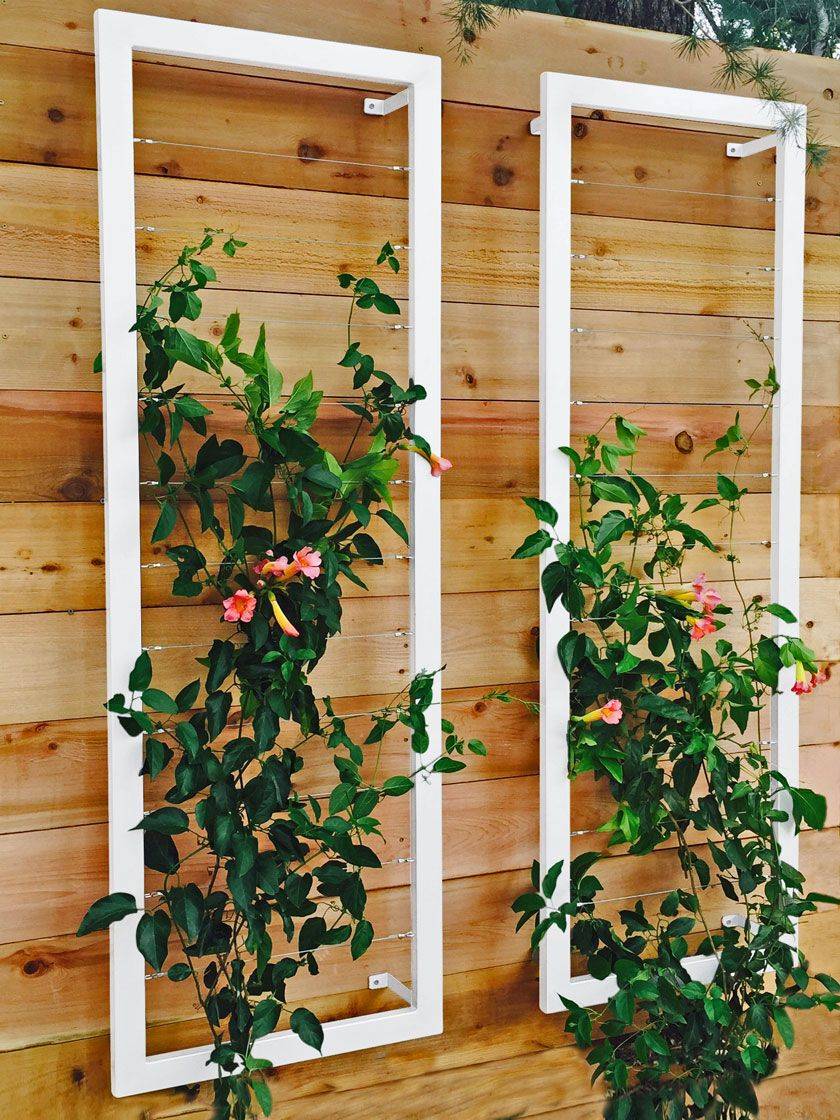 Duratrel In W X In H White Traditional Garden Trellis In The