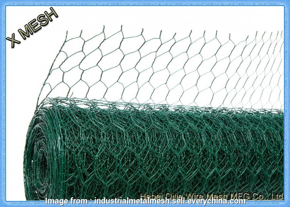 Your Own Fruit And Vegetable Cages