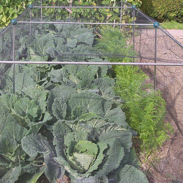 Fruit Cage Netting Steel Protect Net Anti Birds Safe Frame Cages