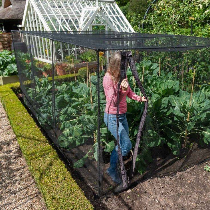 Heavy Duty Pea And Bean Netting Harrod Horticultural