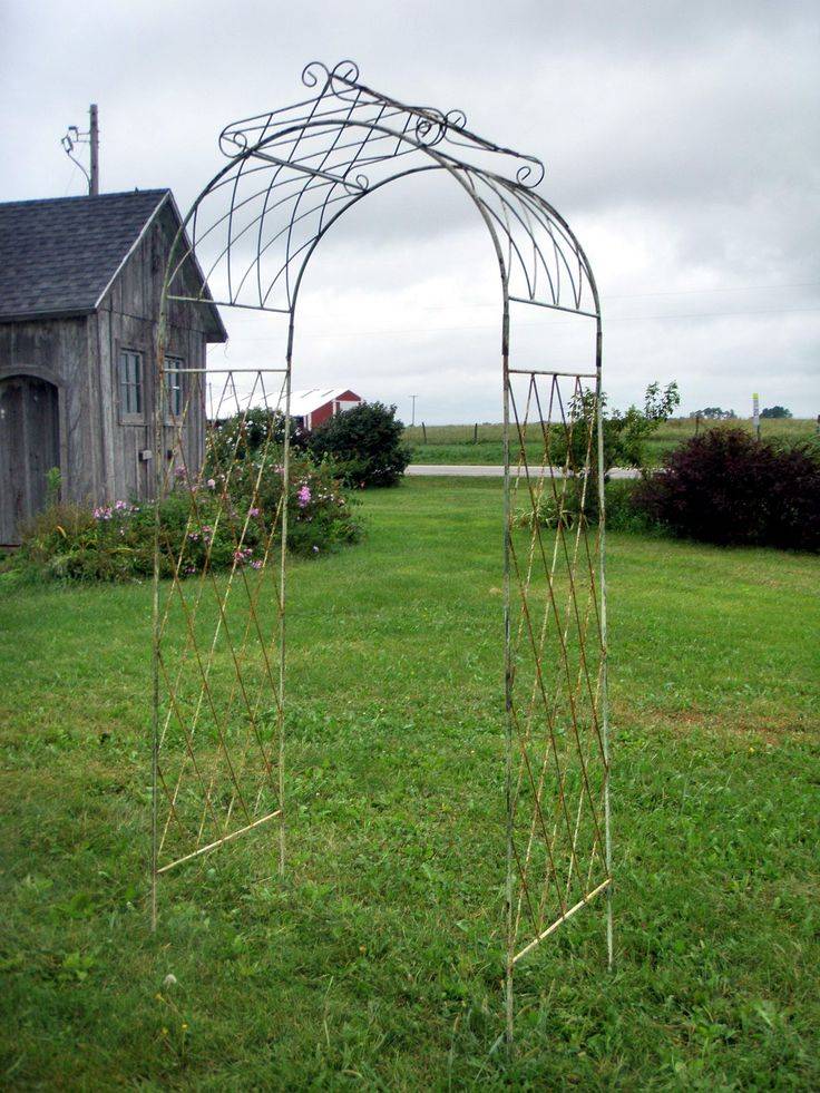 Garden Trellis