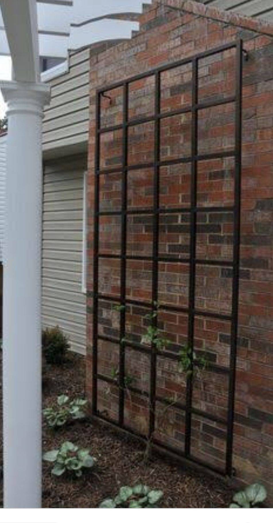 Black Metal Trellis Ideas