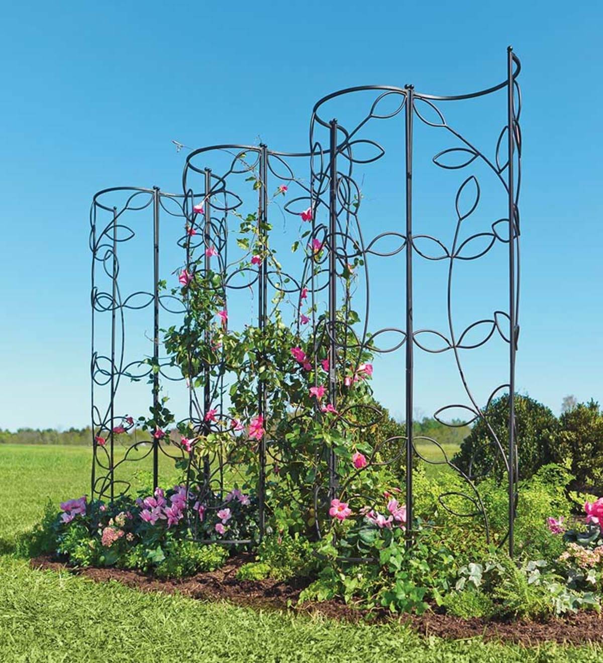 Iron Garden Trellis Obelisk H Iron Trellis