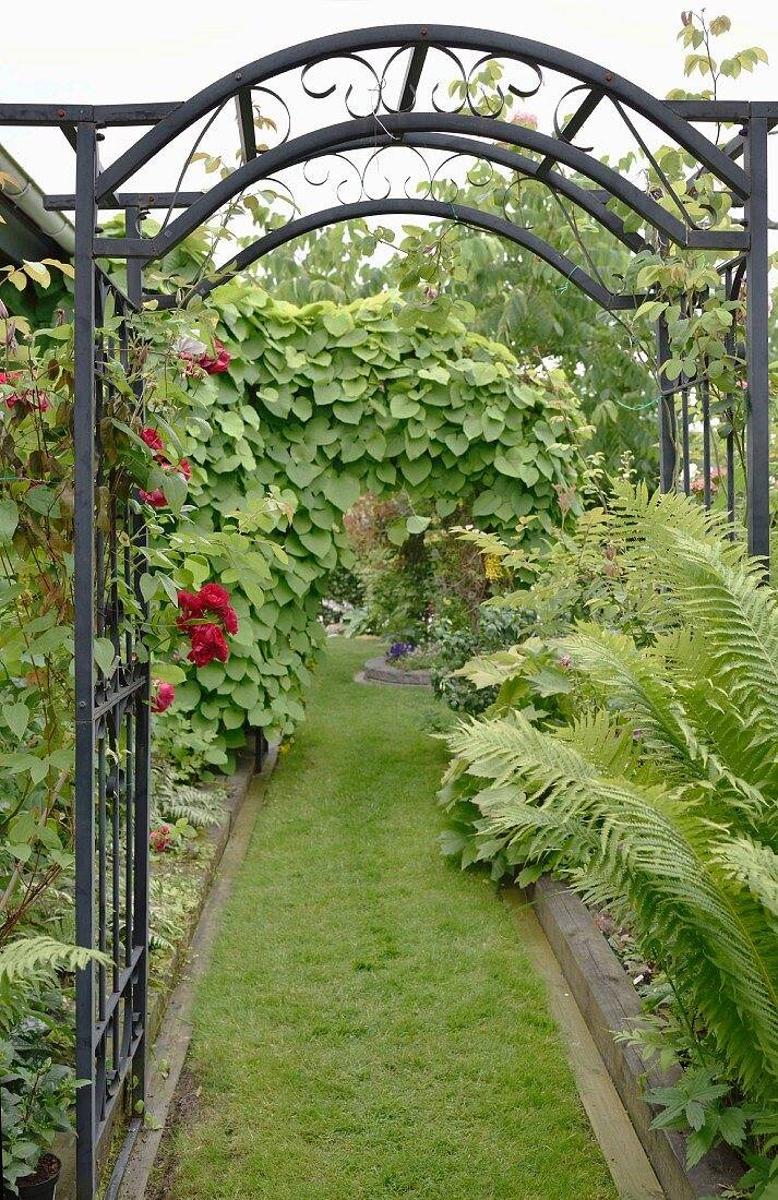 Metal Arched Garden Arbor