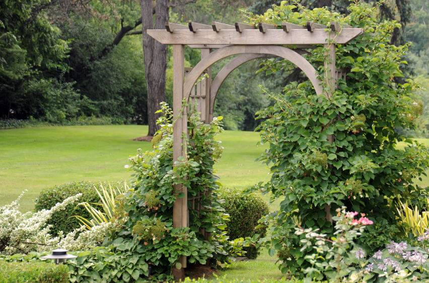 Metal Arched Garden Trellis