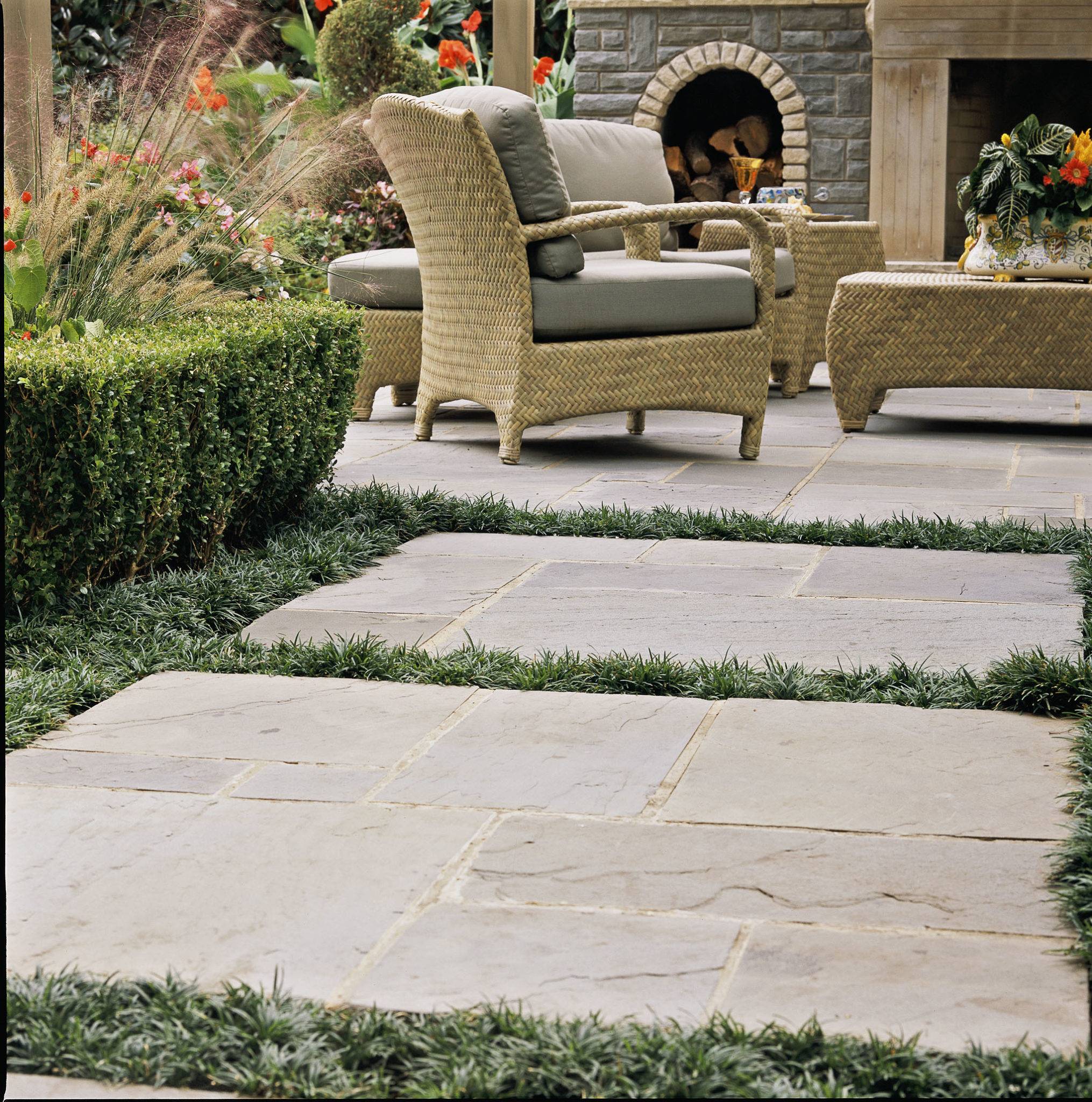 Beautiful Evergreen Grasses Landscaping Ideas Landscapingideas