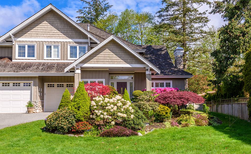Backyard Landscaping Ideas