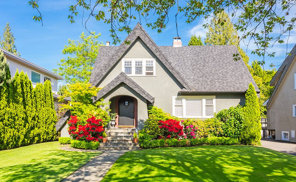 Backyard Landscaping Ideas