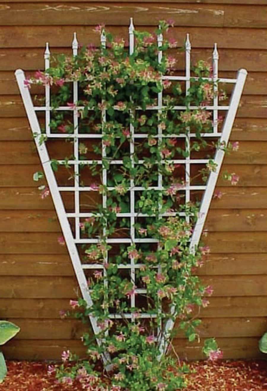 Brilliant Gardening Ideas