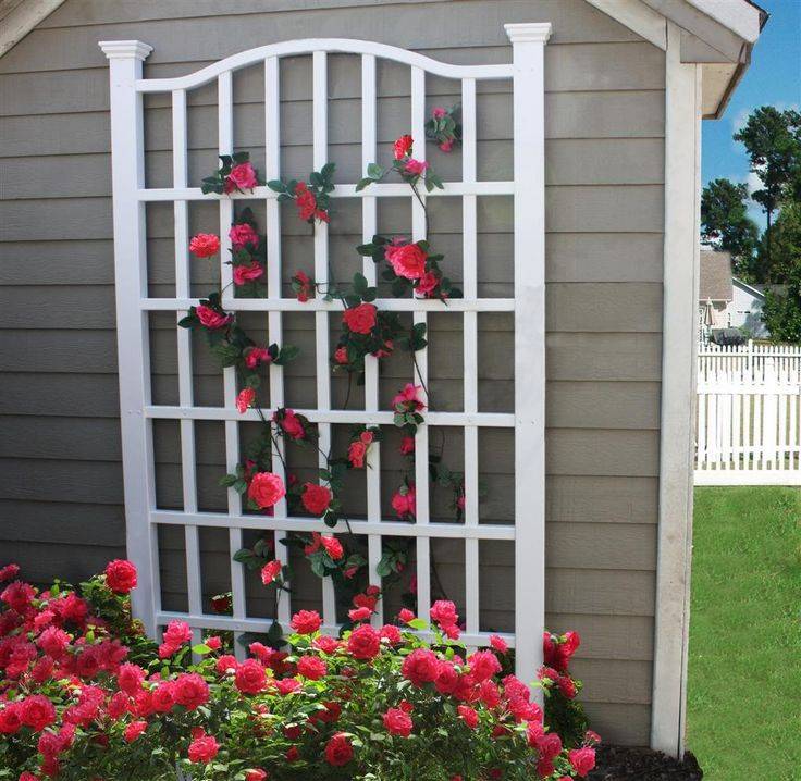 Classic Metal Garden Trellis Plant Trellis