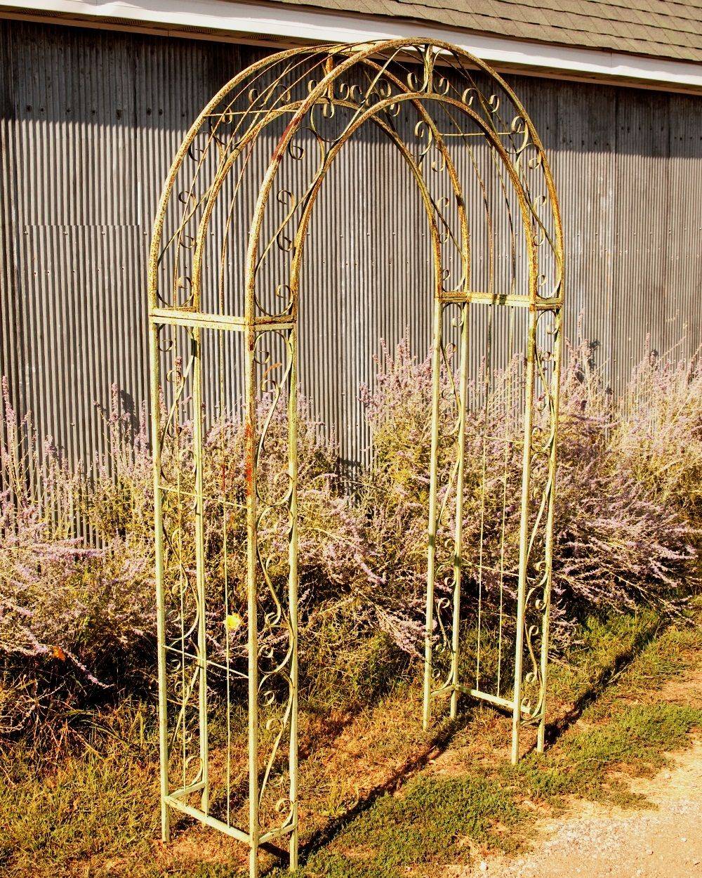 Metal Garden Arch Trellis Ideas