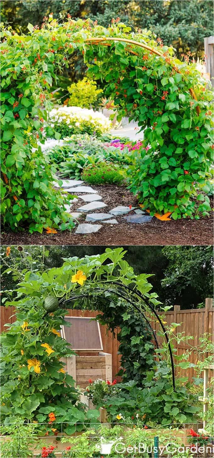 Easy Diy Garden Trellis Ideas