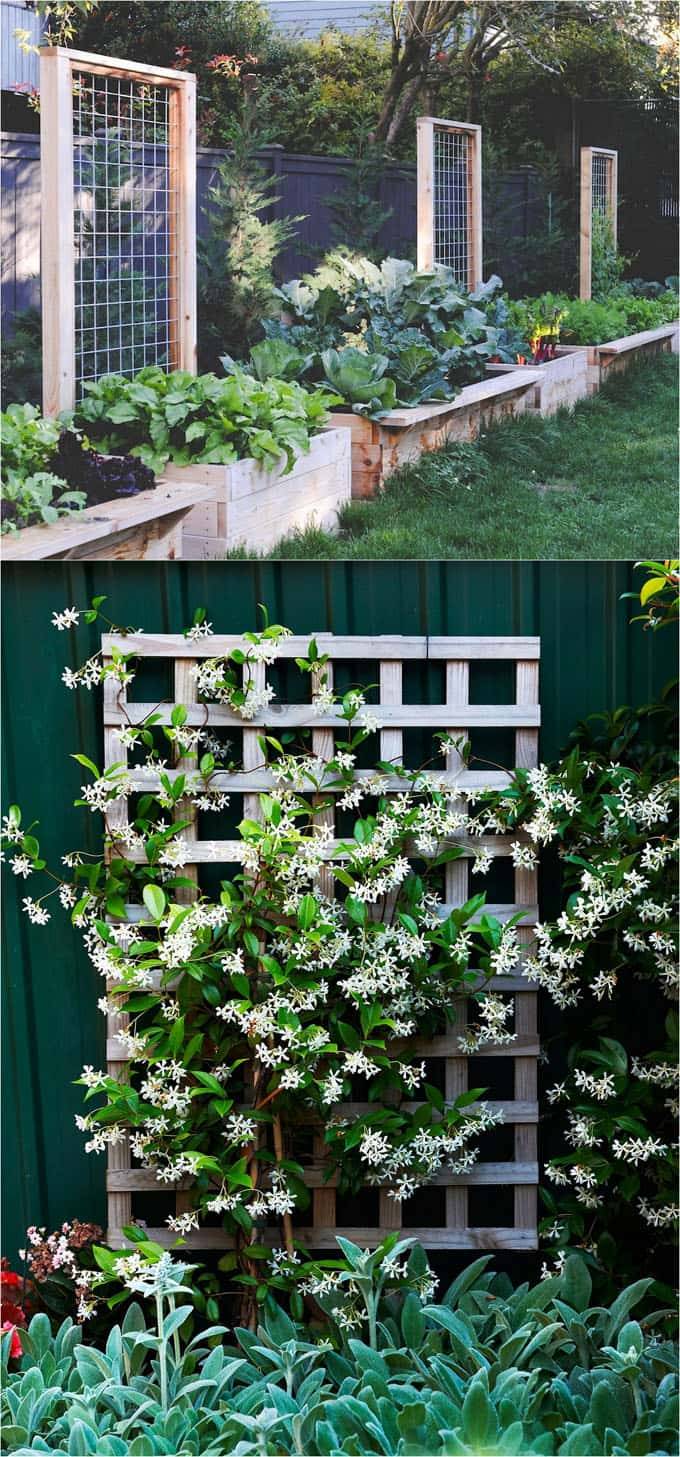 Easy Diy Garden Trellis Ideas
