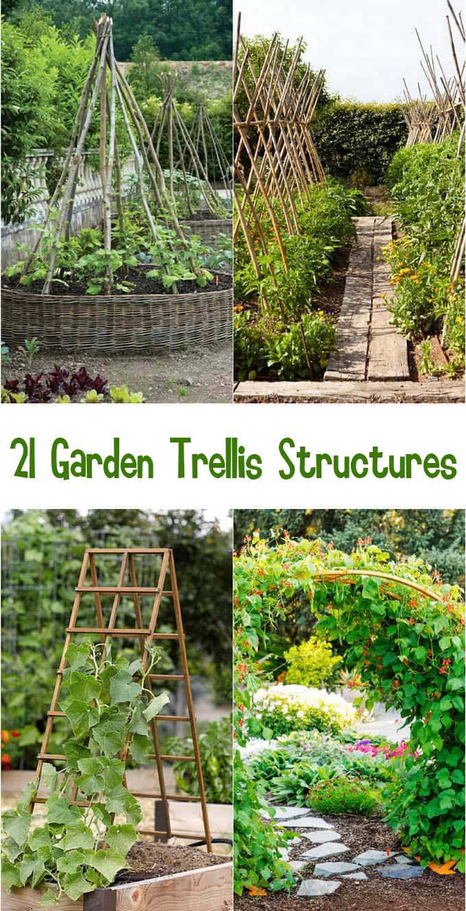 Cool Outdoor Vertical Garden Ideas