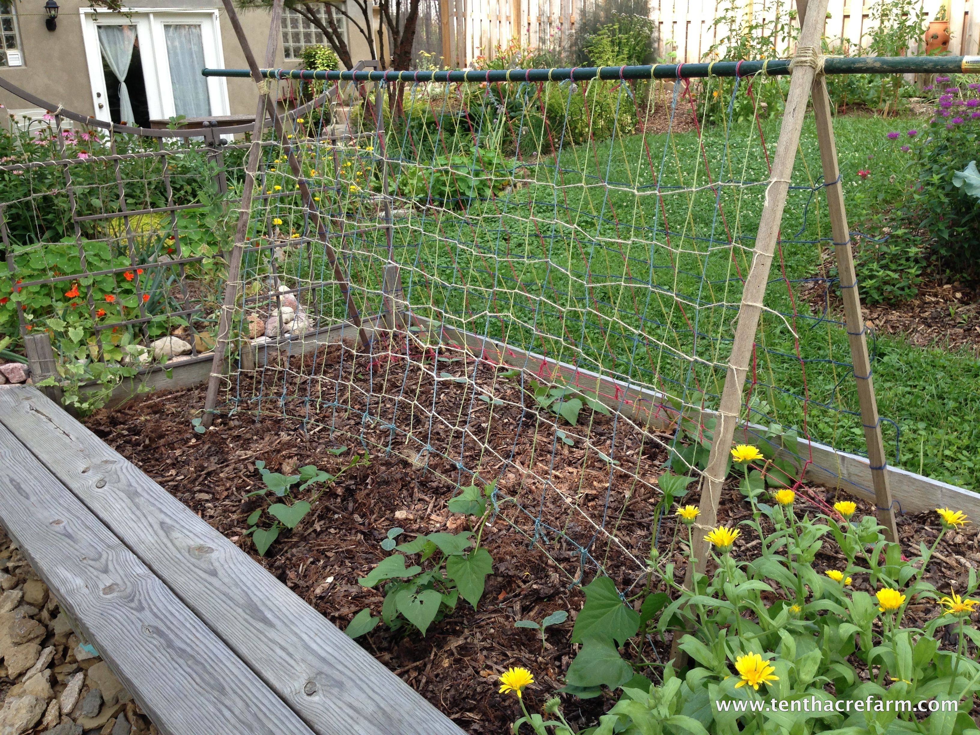 Easy Diy Garden Trellis Ideas