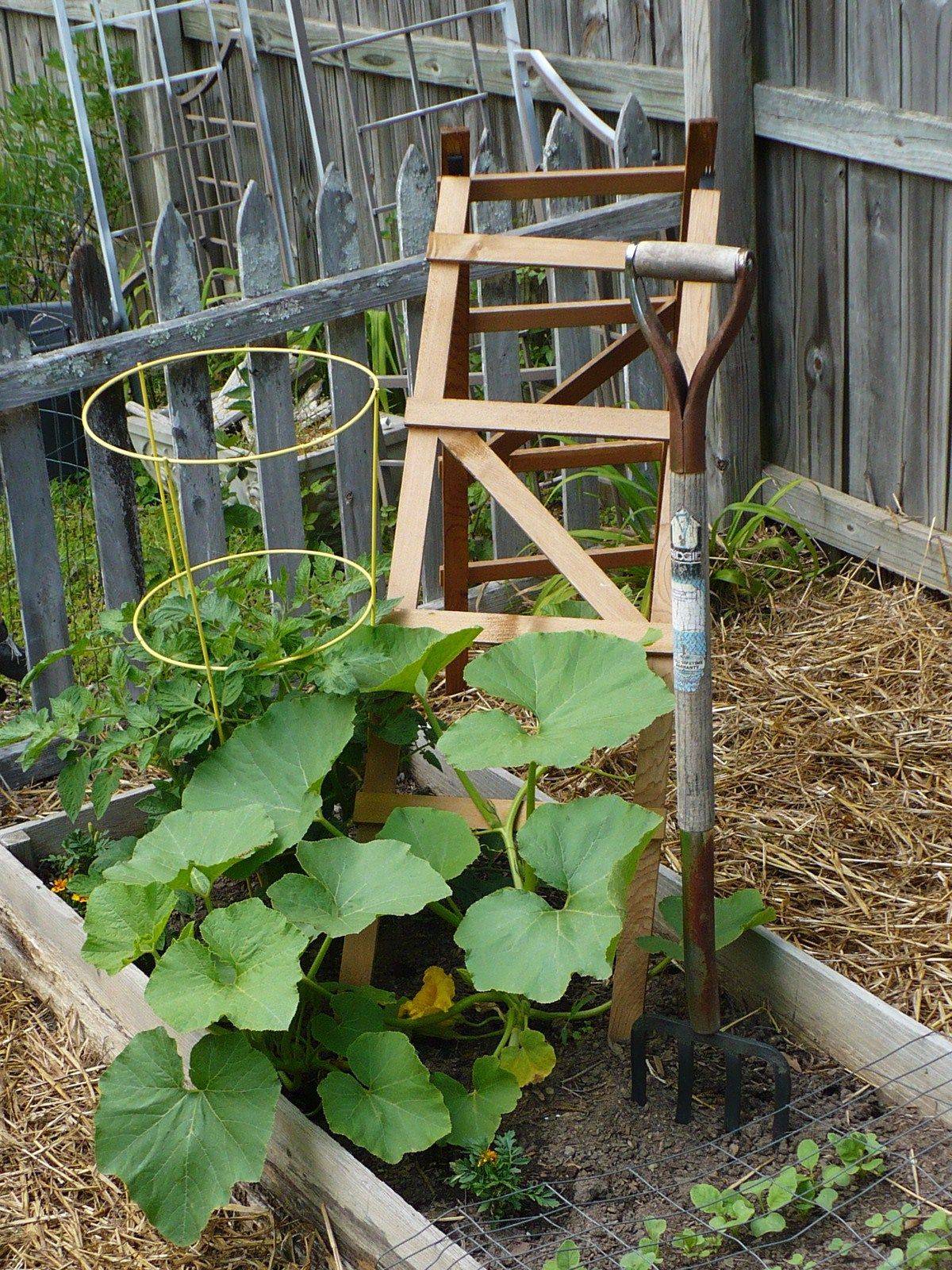 Easy Diy Garden Trellis Ideas