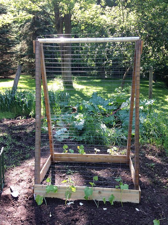 The Garden Home Vegetable Garden