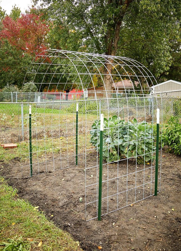 Vegetable Trellis