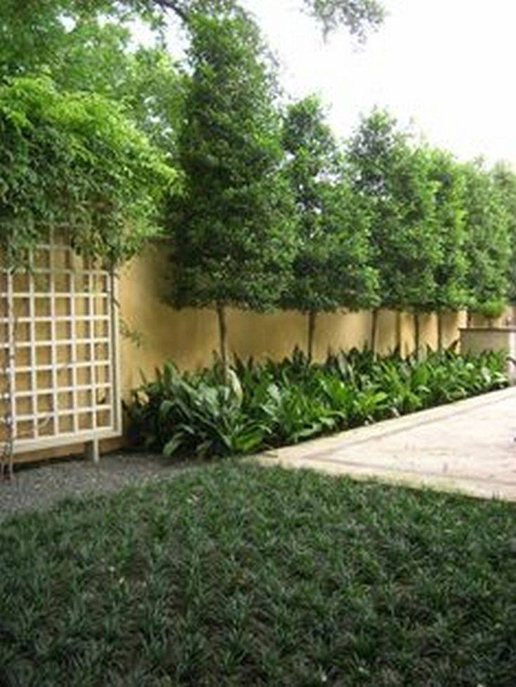 Amazing Outdoor Privacy Screens That You Will Love Homesthetics