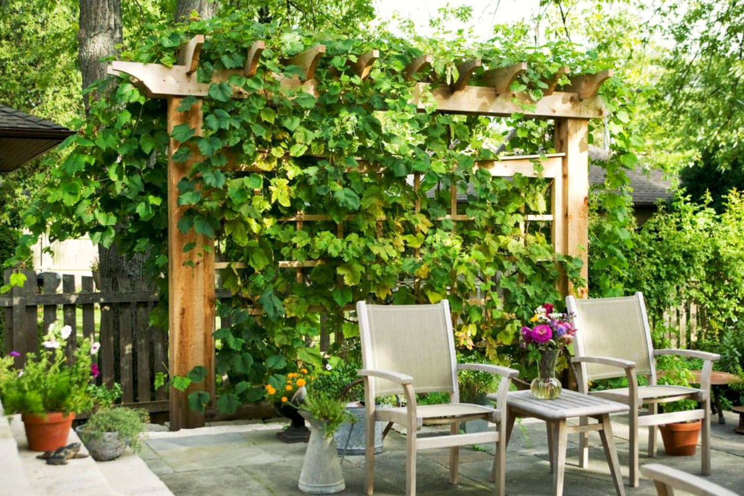 Unique Garden Fence Ideas