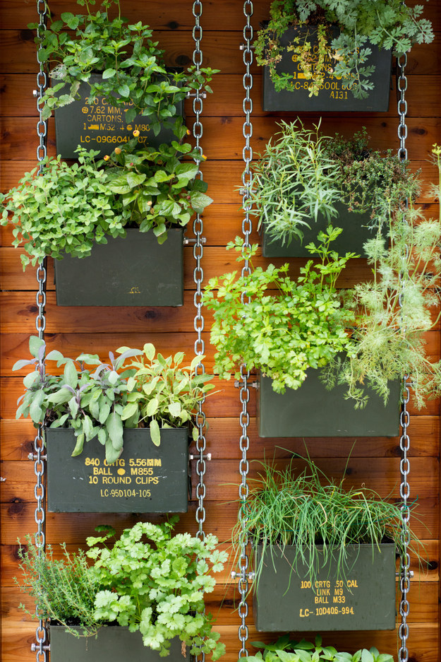 A Vertical Garden