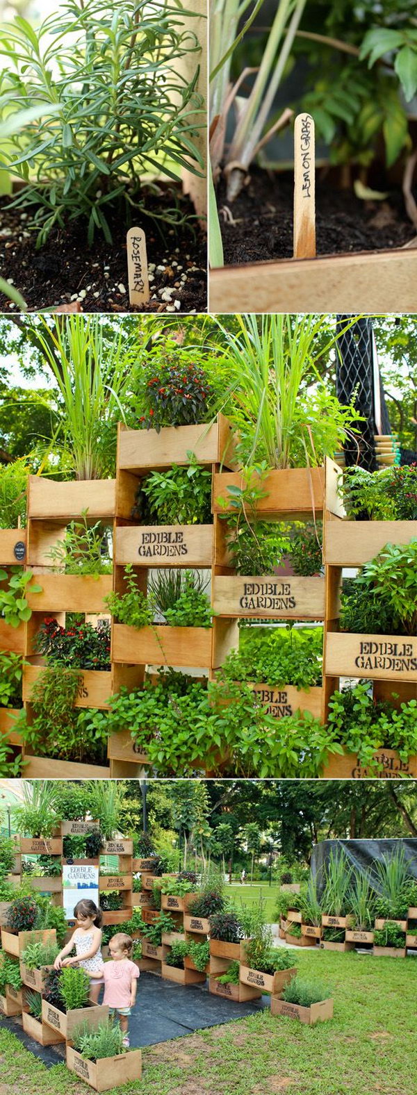 Creative And Simple Diy Vertical Garden Ideas Page