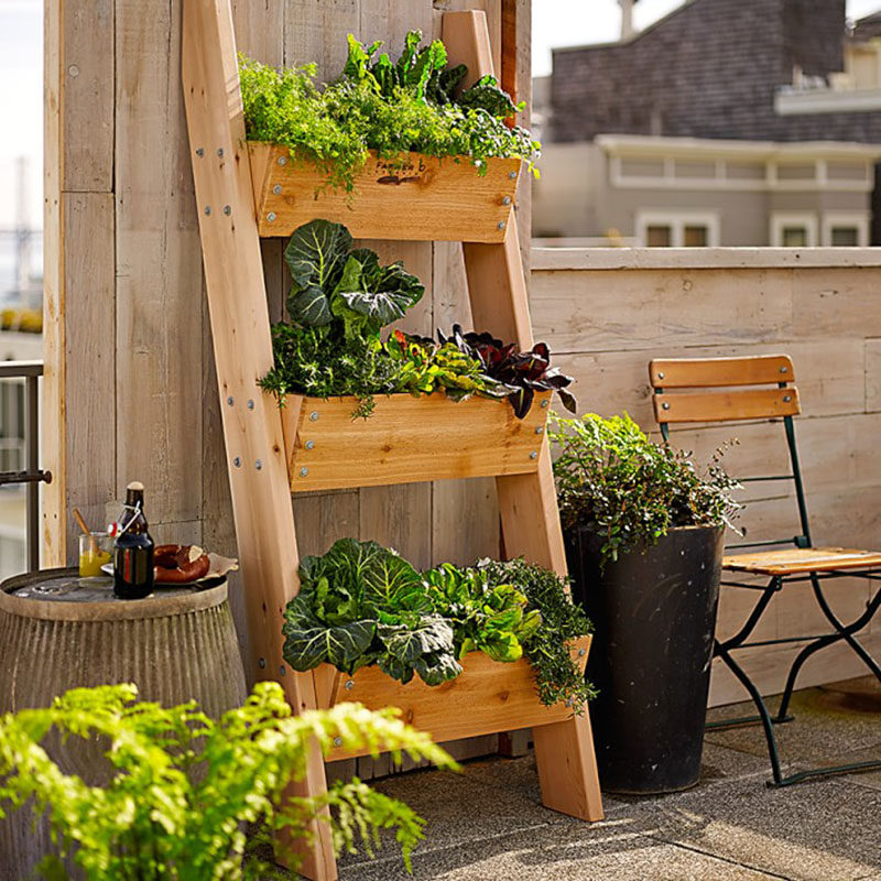 Diy Vertical Gardening Ideas