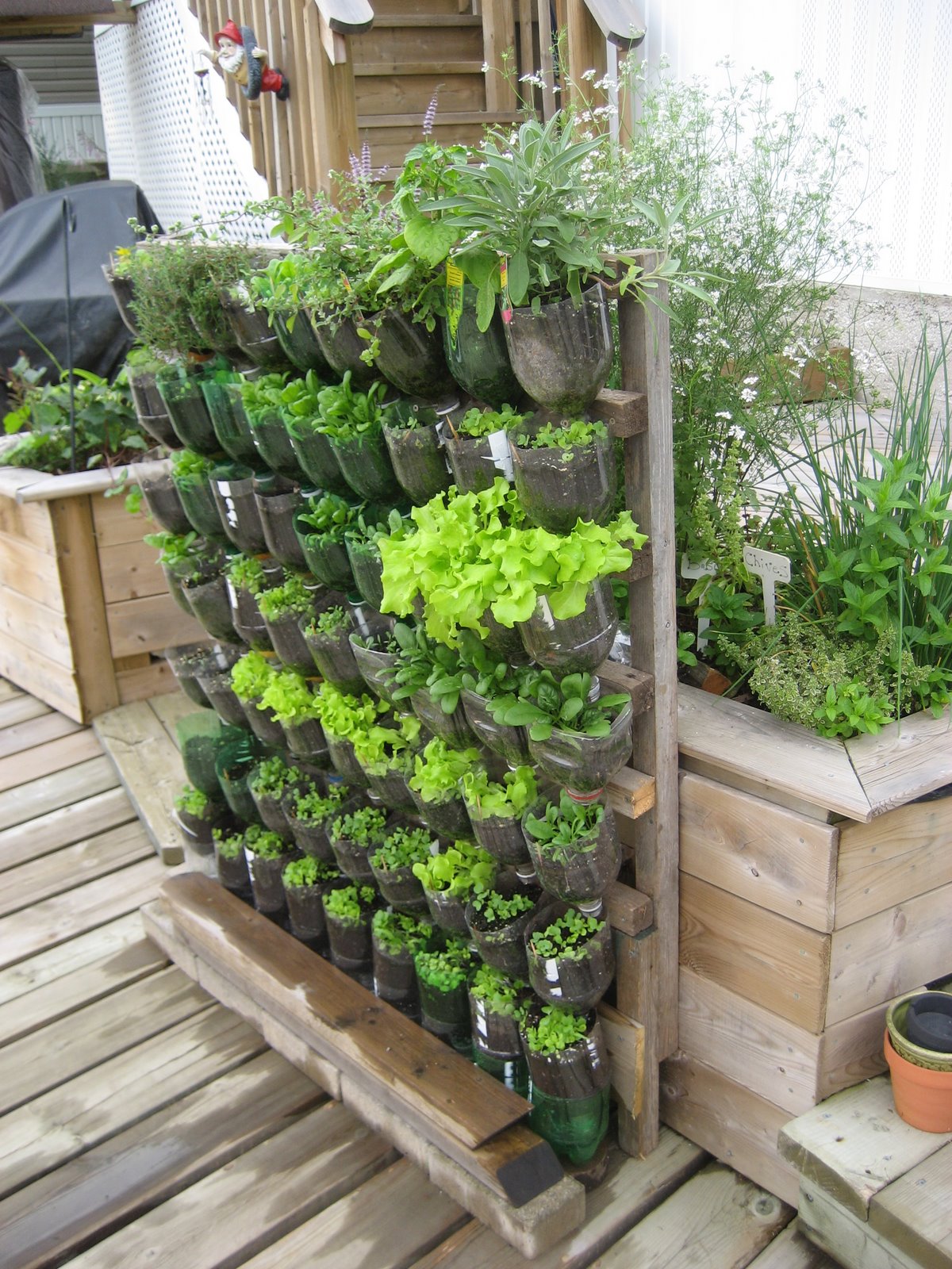 Tall Vertical Wooden Pallet Gardening