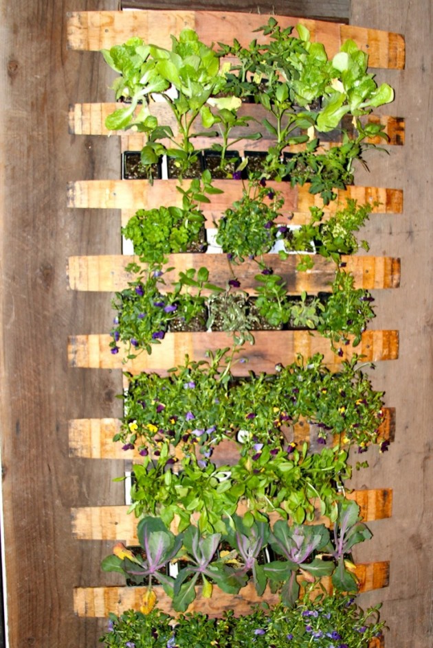 The Best Vertical Garden Ideas