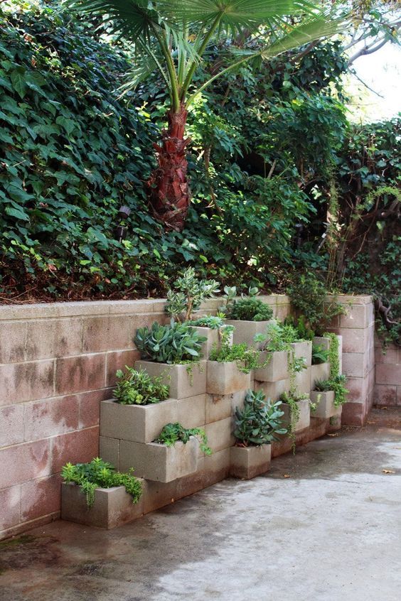 Diy Vertical Gardens