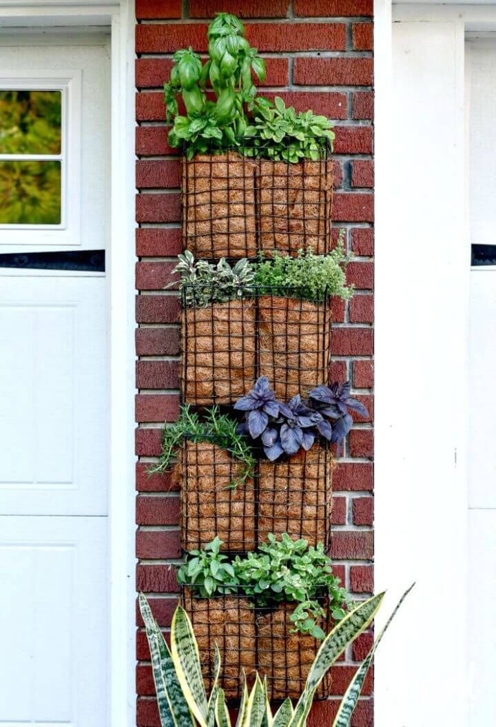 Diy Vertical Gardens
