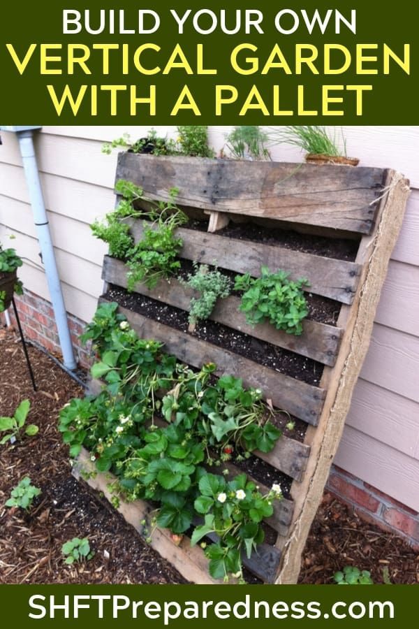 Container Gardening Top Home Information