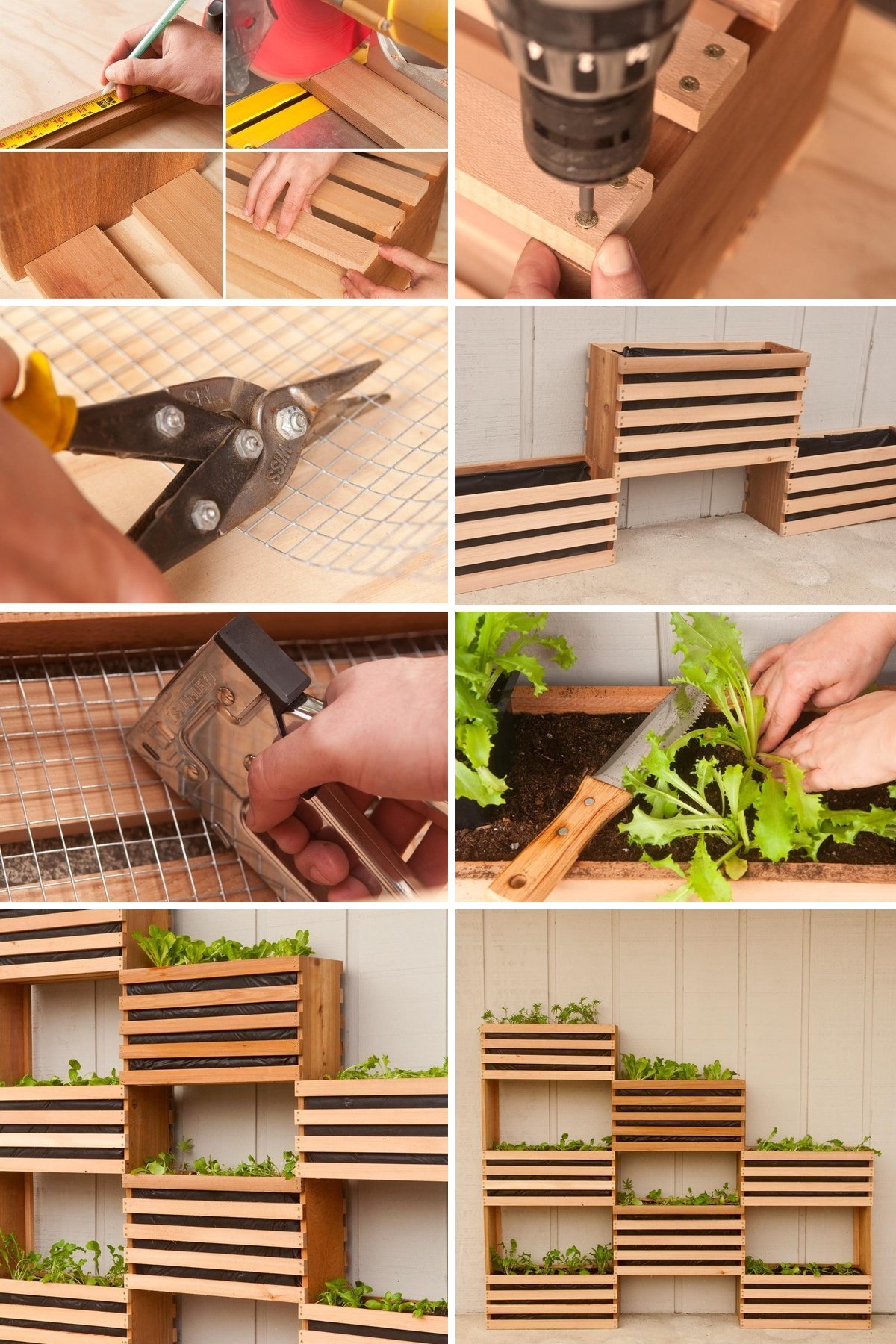 Container Gardening Top Home Information