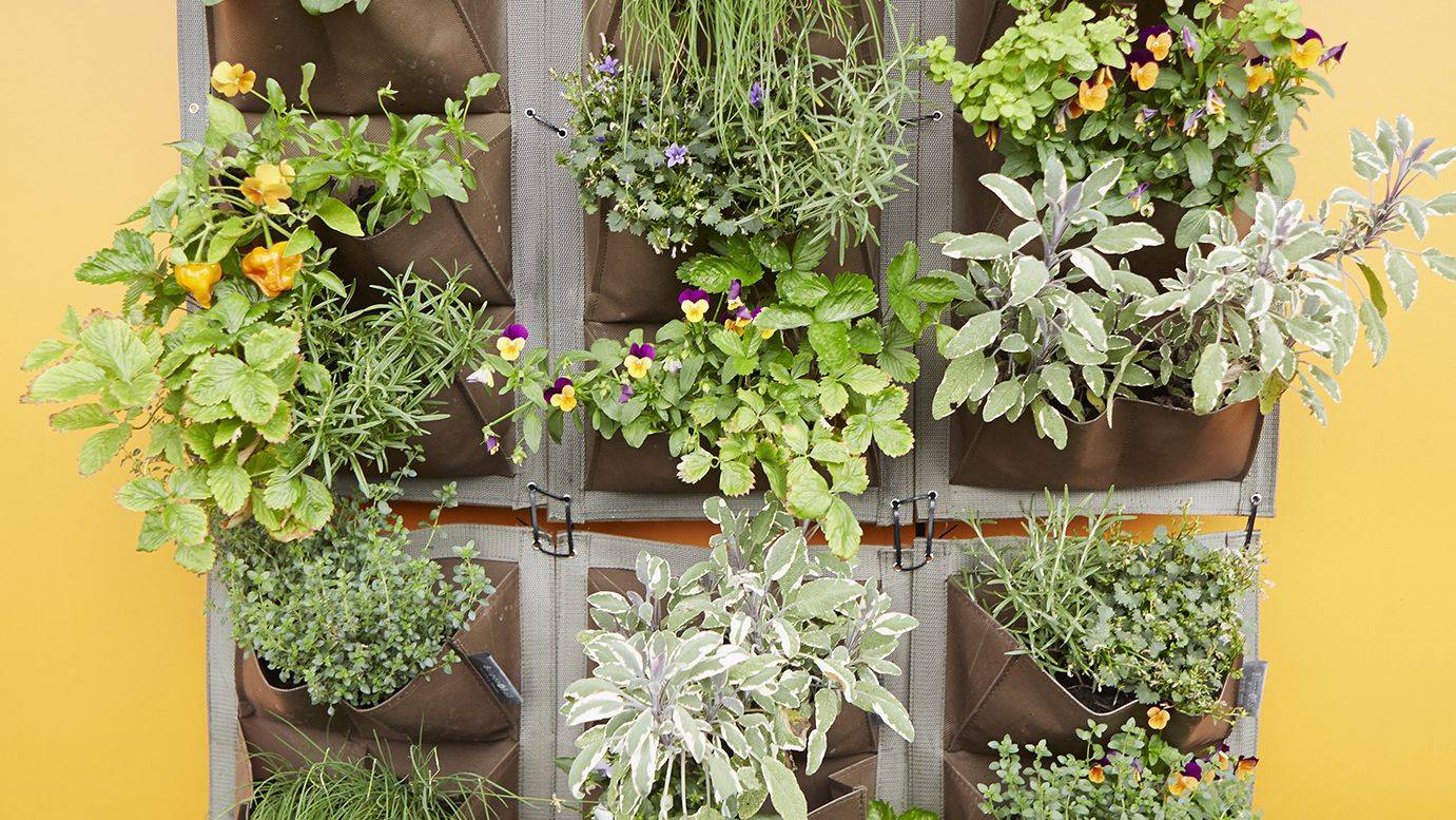 Vertical Vegetable Garden Ideas