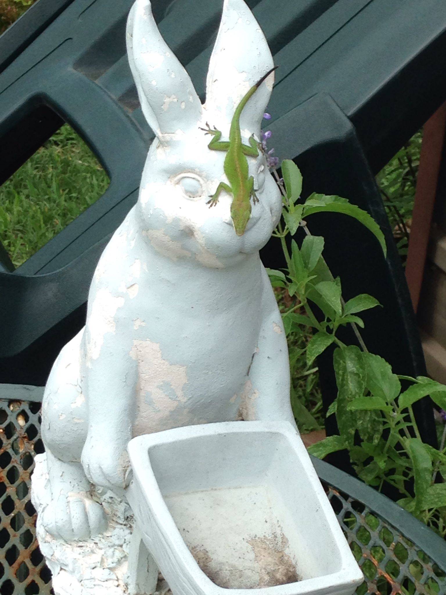 Curious Bunny Garden Decor Wholesale